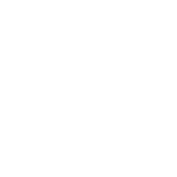 trinasolar-white