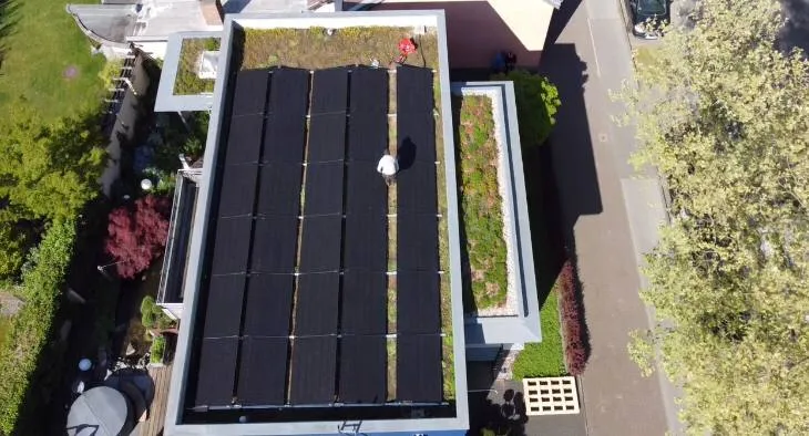 photo_5472355580480961430_x